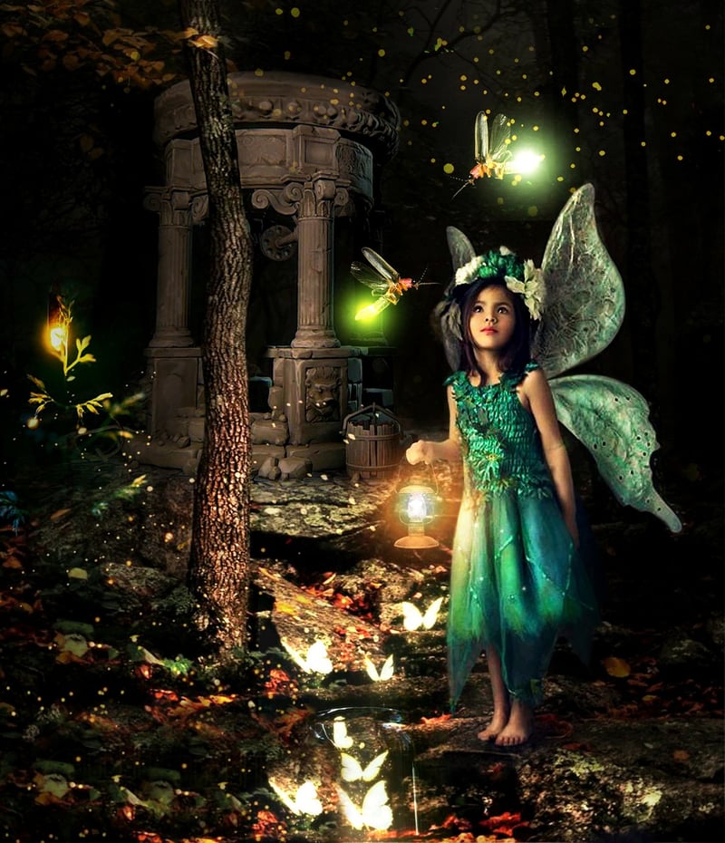 Fairy Forests