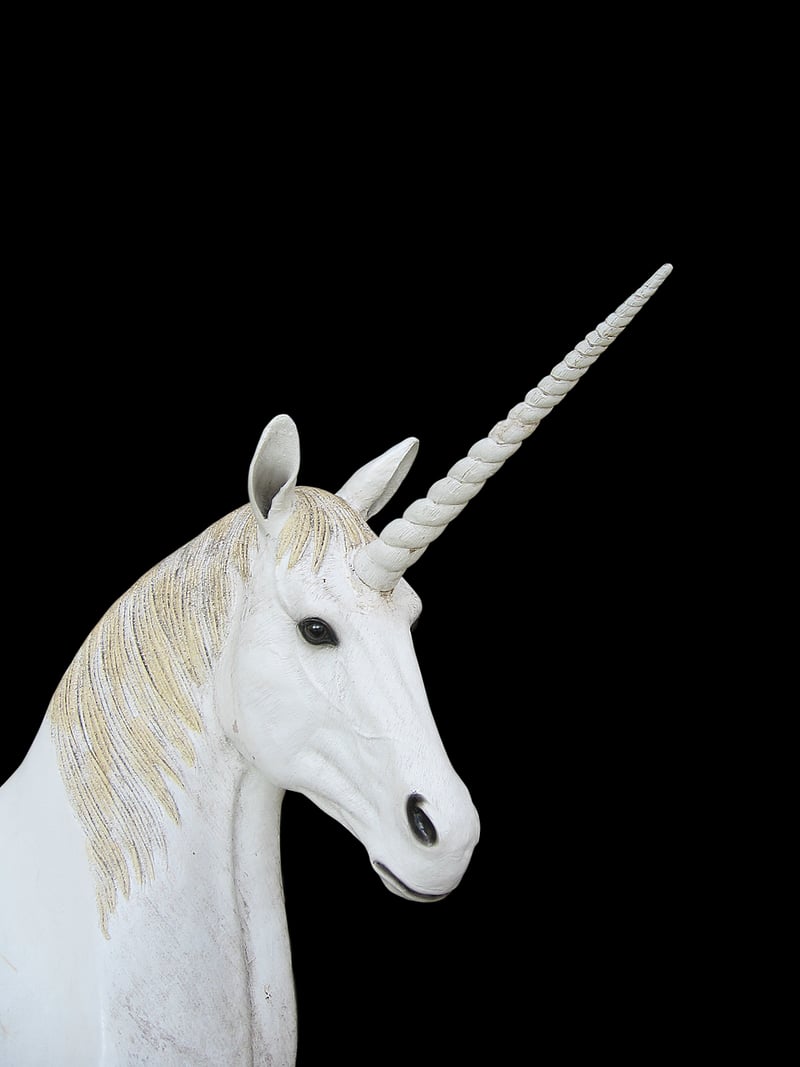 Fantasy Landscape with Unicorn